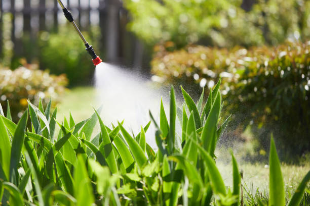 Tamper-Resistant Bait Stations for Rodents in Anahuac