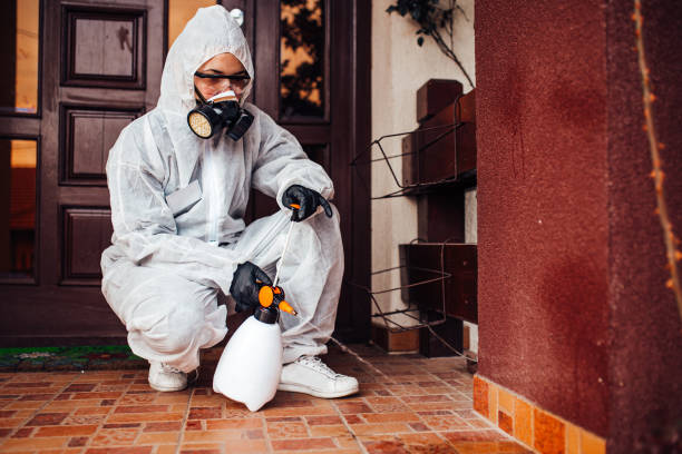 Attic and Crawl Space Rodent Treatment in Anahuac