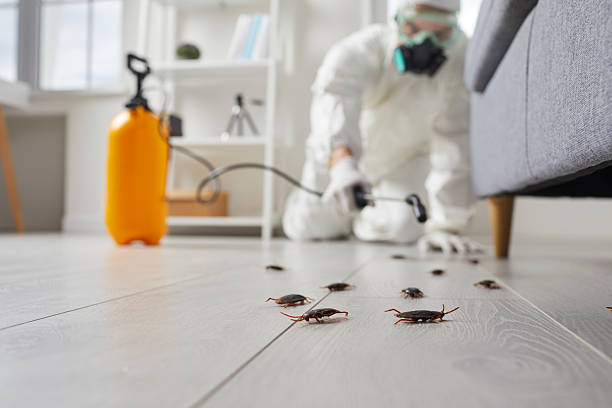 Commercial Rodent Management in Anahuac